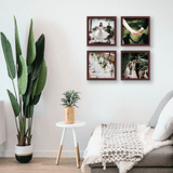 Frame Set 4 Fotos Original - Pictoset