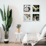 Voucher Frame Set de 4 Fotos Original Easy Paste - Pictoset