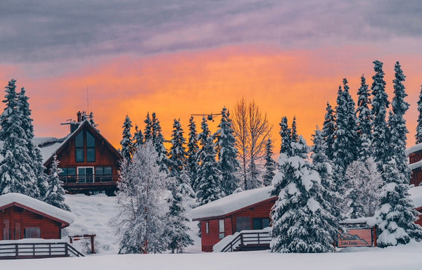 Aprovecha la luz de invierno para tomar las mejores fotos - Pictoset