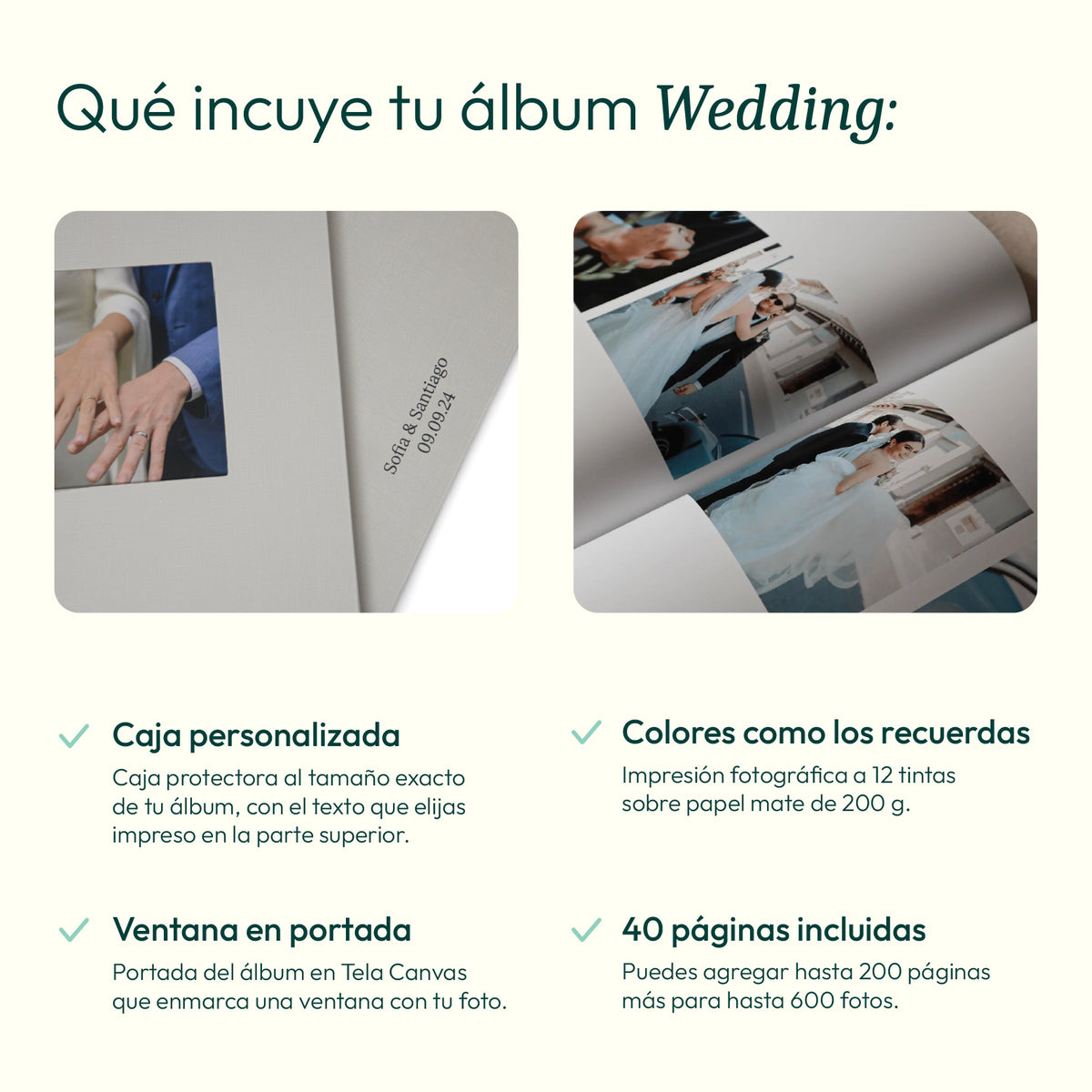 Álbum Wedding