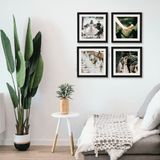 Frame Set 4 Fotos Original - Pictoset