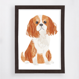 Infantil - Perrito - Pictoset