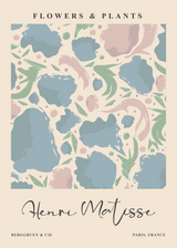 Matisse - Flowers & Plants
