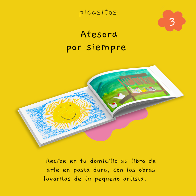 Artbook Picasitos Pasta Dura (60-100 dibujos)